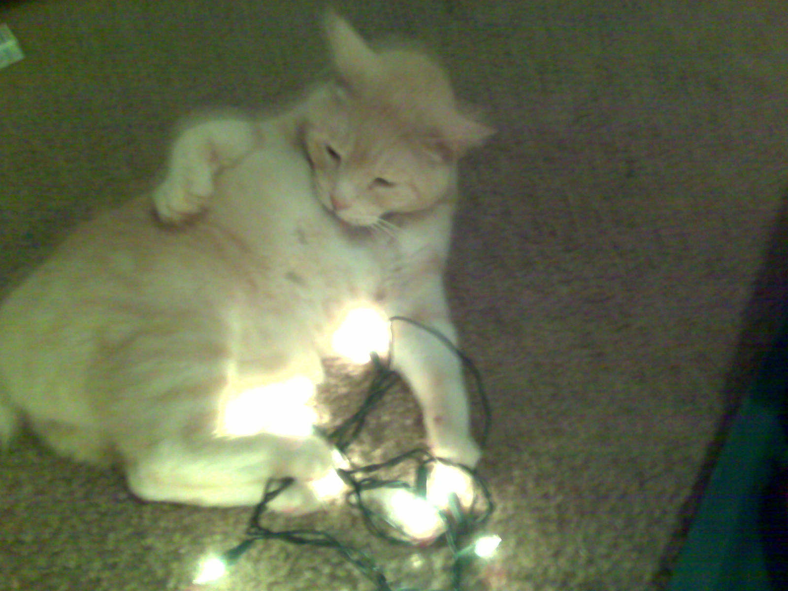 Max helps too