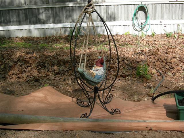yard4.jpg
